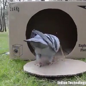 8.6M views · 10K reactions | How to make a bird trap :o | MASTER GALA | Facebook