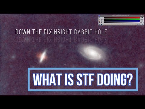 Dive into STF: What the Heck is the Screen Transfer Function Even Doing?