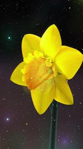 Evolution of Flowers: A 100-Year Journey into the Future ⏩🌸