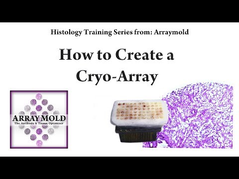 How to Create a Frozen Tissue Microarray - The Cryo-Array