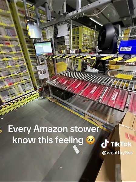 Understanding the Amazon Stower Experience