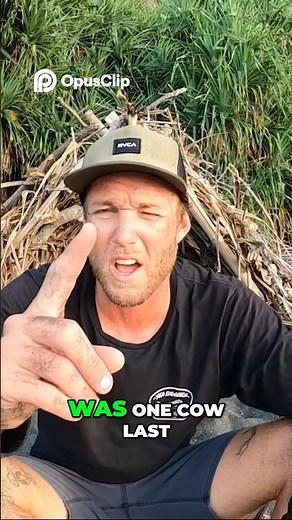 Field Days : 3 DAYS solo survival Cows beach and sandstrom night! #clippers