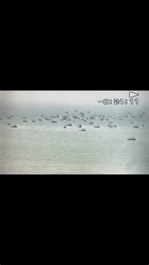 Bristol Bay 1994🔥 A step back in time to Ugashik in ‘94⚓️ Enjoy🤙 🎥Lind Family fishing archives Music by Tigerblood Jewel | Bristol Bay Boat Club