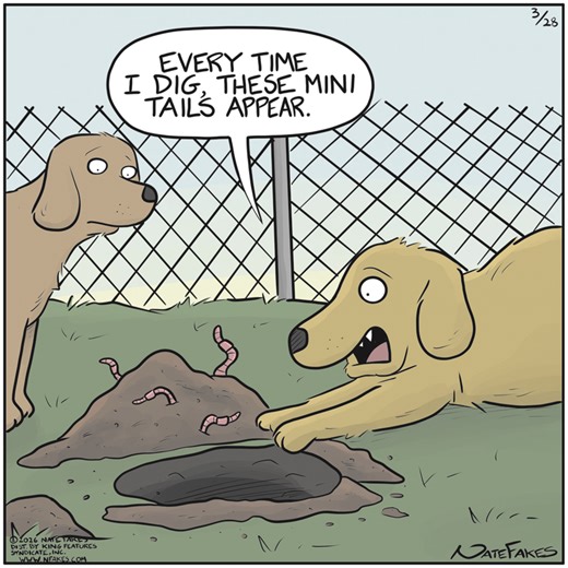 Break of Day Comic Strip 2026-03-28 | Comics Kingdom