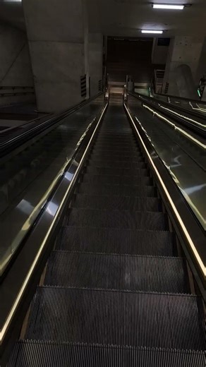 Auber | S14 #3Ⓜ️