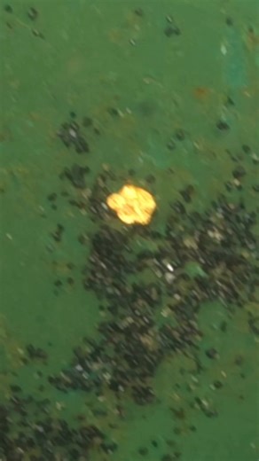 Another fantastic Pennsylvania glacial gold pan! #goldprospecting | Gold is where you find it.