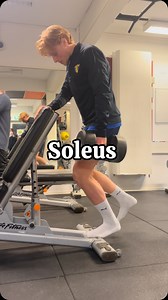 This muscle can generate up to 8x your bodyweight in force when sprinting The soleus is one of the key muscles in your calves and plays a huge role in speed and explosiveness. Because it handles such high forces, it needs to be trained heavy. No gym? No problem. Do any of the isometric variations—just skip the dumbbell and hold longer to get the stimulus. Want to get faster for free? DM me ‘Free’ and you might get one of the last spots to try my programs for free. #speedtraining #footballtrainin