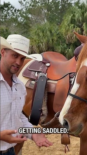 How do you pull your saddle off? #ryanrose #horse