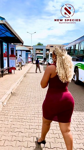 70K views · 1K reactions | #TsindaNaNewSpecies Downtown edition  We’re still going, stay tuned for your turn to come! | New Species | Facebook