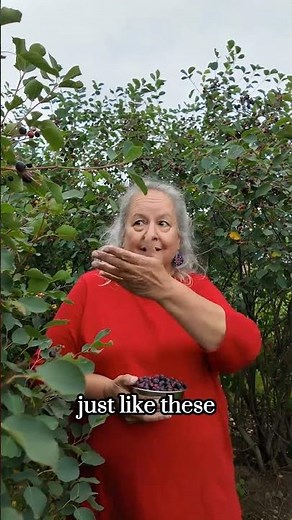 Robin Wall Kimmerer on the importance of Little Free Libraries