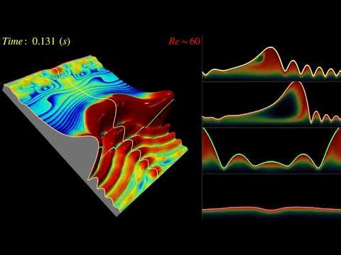 Carbon capture in wavy falling films
