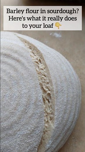 Love experimenting? Try Barley Sourdough Bread recipe - super tasty! Recipe on Somebody Feed Seb.