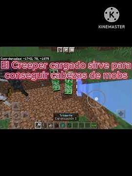 Para que sirve el encantamiento de canalización -Minecraft-