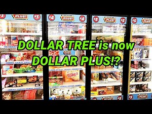 Dollar Tree Store is now Dollar Tree Plus!? Is it new old Five Below? Frozen Food Tour & Review! 🍕🍦