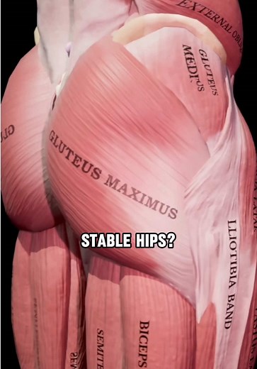 One of my favorite exercises for hip stability: the side plank clamshell a squat (a variation of the DNS star). . Shout out @Muscle and Motion anatomy graphics. #physicaltherapy