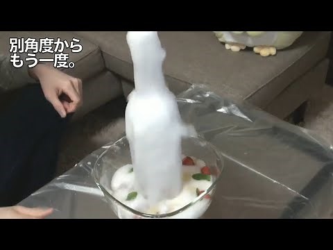 ヒカキン 出たー出た！出たー... 【ヒカマニ】 【hikakin_mania】
