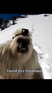 Yeti-Boo vlog 5 - What’s an outdoor boy #Vlog #wildrrness #yetiboo | Big Foot Vlog