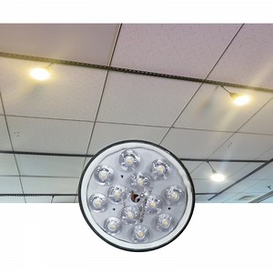 [Hot Item] IP67 6.5W Dimmable Smart Dimming Poultry Farming Light for Chicken Farm