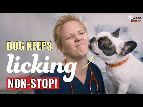 12 WEIRD Things Dogs Do - And What They REALLY Mean