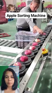 9 comments | Apple sorting machine #engineering #science #machine #sorting #sortingmachine #viralpost2025シ #fypviralシ #viralreelsfb #trendingreels #fypageシ #trendingreel #fypシ゚ #trendingpost #ideas #Amazing | Nitz Aguirre | Facebook
