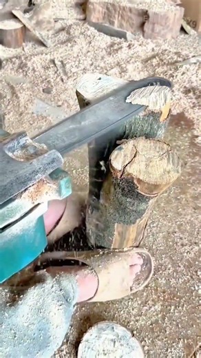 cutting a thick tree trunk vertically using a portable electric chainsaw machine for timber
