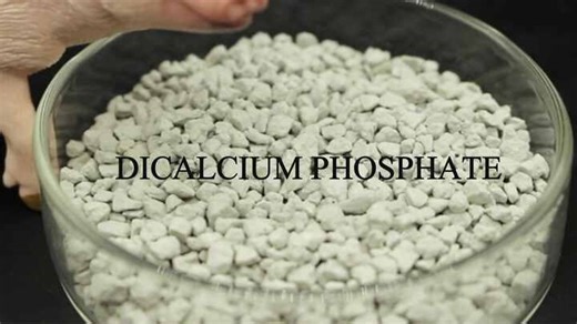 High-Purity 18% Dicalcium Phosphate Granular for Poultry and Livestock Feed Supplement