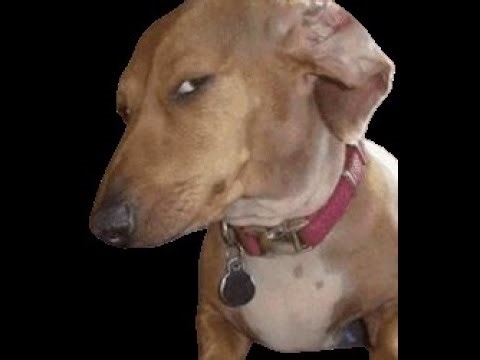 [LIVE] REVENIM IN FORTA CU PUTIN CS SI DUPA HORROR!?