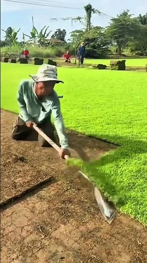 Lifting process for grass replacement