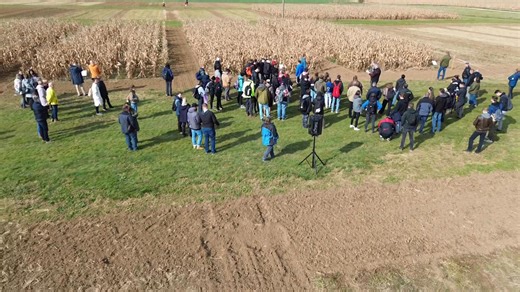 Kelly a Sumo v akcii na NPPC v Borovciach #Kelly #sumo #notill | Land Technologies