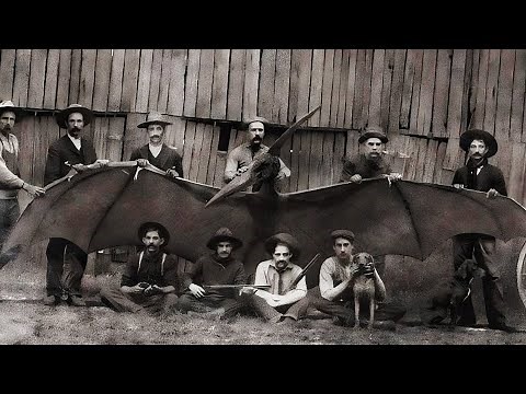 10 Incredible Stories of the Old American West