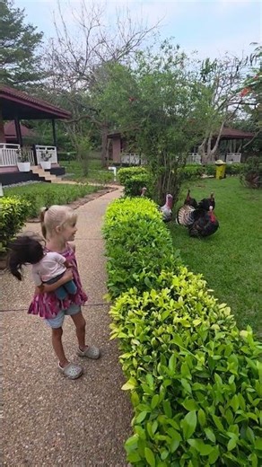 Talking to turkeys - our daughter, Raven, seems to benefit from being named after a bird species!