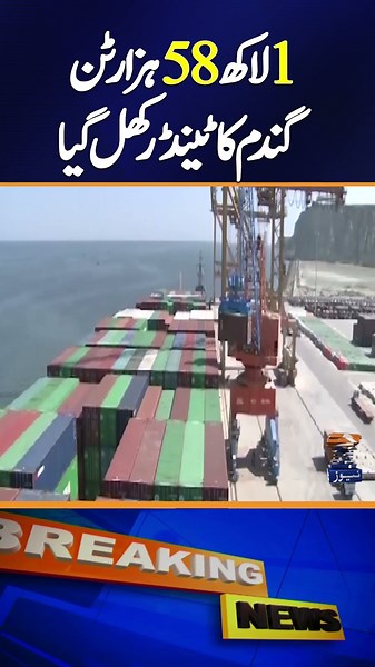 Tender Opened for 185,000 Tons of Wheat | Geo News