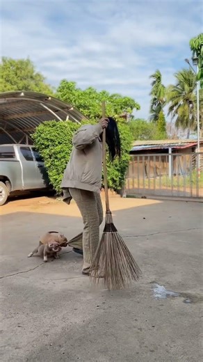 ความสุขเขาแหละ🤩🐶