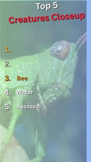 Up Close & Unbelievable! Top 5 Creatures Revealed 🦎 #wildlife #animallife #creatures