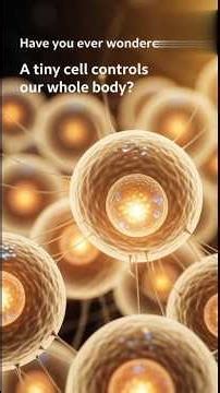 How a Cell Works? | Cell Membrane, Nucleus & Cytoplasm Explained#Shorts#humanbody#animation