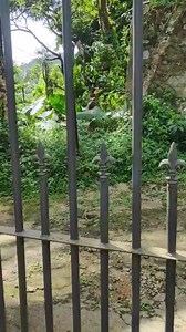 140K views · 6.3K reactions | #SinhalaVideos #HilariousComedy...