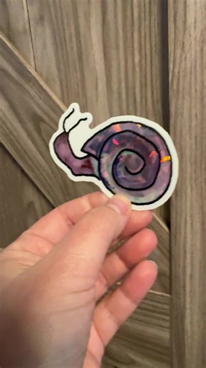 Disco snail… that is all. #discosnail #discosnails