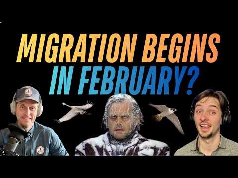 Why Spring Migration Actually Starts in the Middle of Winter