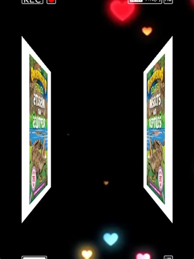 Insects and Reptiles Discovering Delights Flap Book for Kids Age 4 – 10 years#childrenbooks