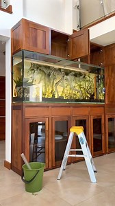 Like the real dinosaurus 😱 #aquascape #plantedtank #viralreelsシ #fishtank #aquatic #aquarium #aquariumhobby #layoutdesign #viralpost #viral | AquaPedia