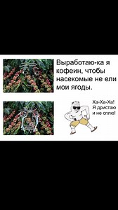 рита гуд бой on Instagram