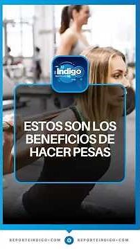 Learn the benefits of weight training | Indigo Report