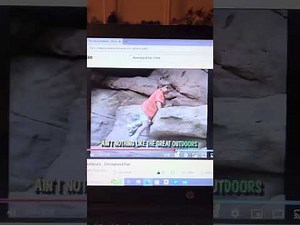 Disneys Sing Along Songs Disneyland Fun The Great Outdoors Long Song Version From The Country Bears