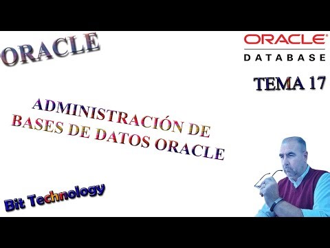 🥇 ORACLE - Tema 17 | Oracle Operadores Lógicos.