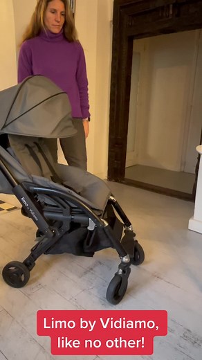 Transform Your Stroller Game with the Vidiamo Limo!