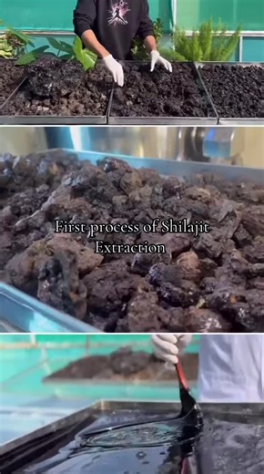 Pure Himalayan Harvest Shilajit Extraction Process