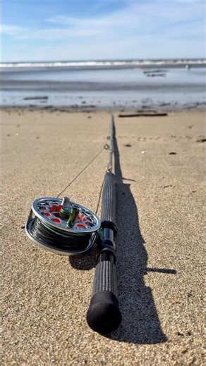 First time fishing the surf with the fly rod!! #surf #fishing #california #beach #flyfishing #fyp