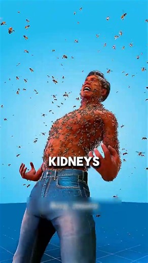 The Terrifying Truth About What 1,500 Bee Stings