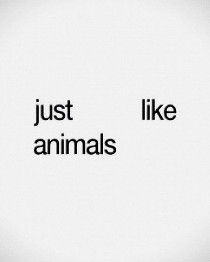 Maroon 5 - Animals: Lyrics and Meaning Explained