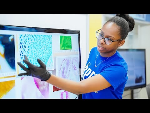 ISPEED in Biomedical Engineering